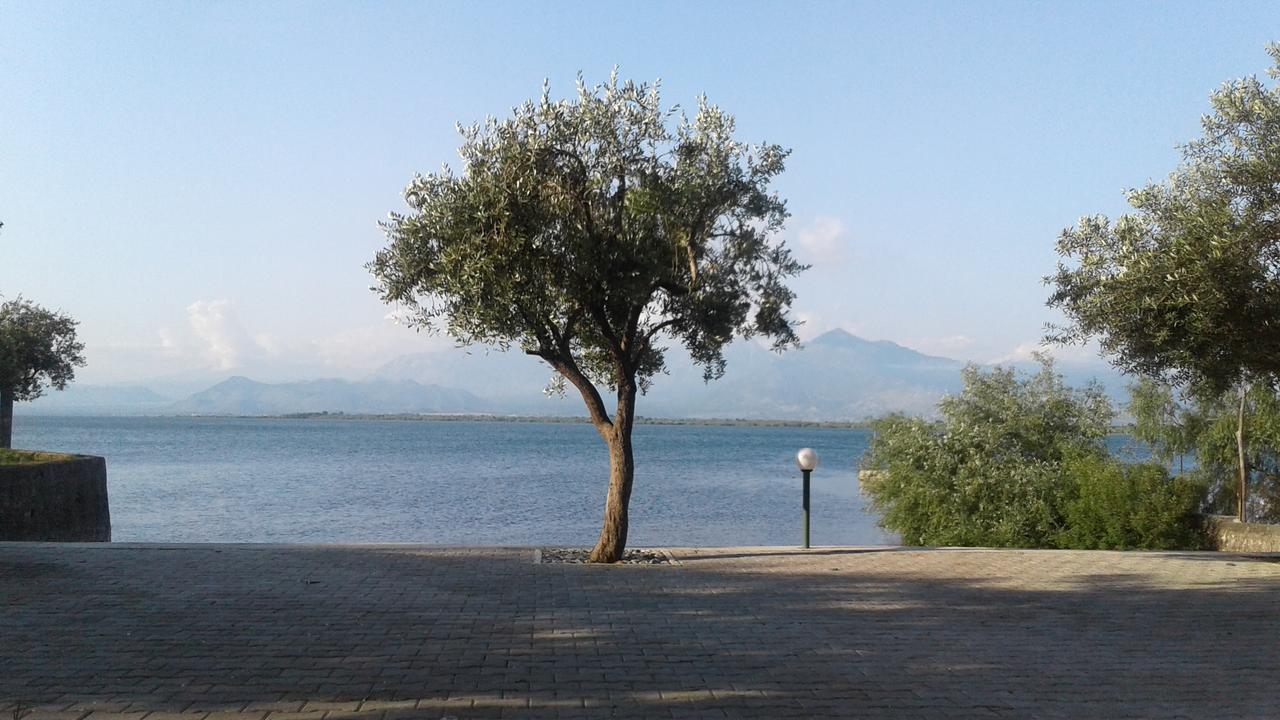 Hotel Shkodra Lake Široka Dış mekan fotoğraf