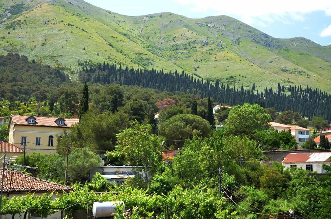 Hotel Shkodra Lake Široka Dış mekan fotoğraf